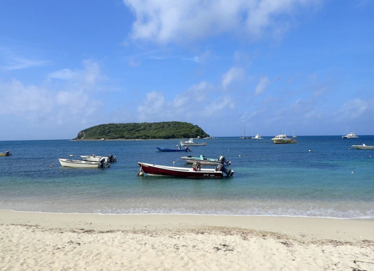 vieques island esperanza beach p 1 768x556